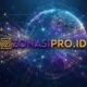 UMKM Butuh Literasi Bisnis, Suluh Nusantara Kembangkan Portal Zonasipro.id